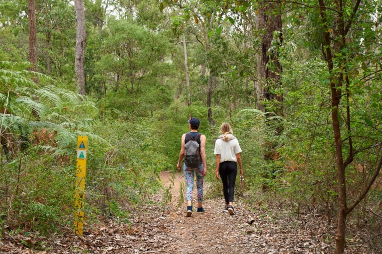 A landscape image of two people walking on a track surrounded by green bush shows outdoor adventure activities and nature on The South West Edge road trip