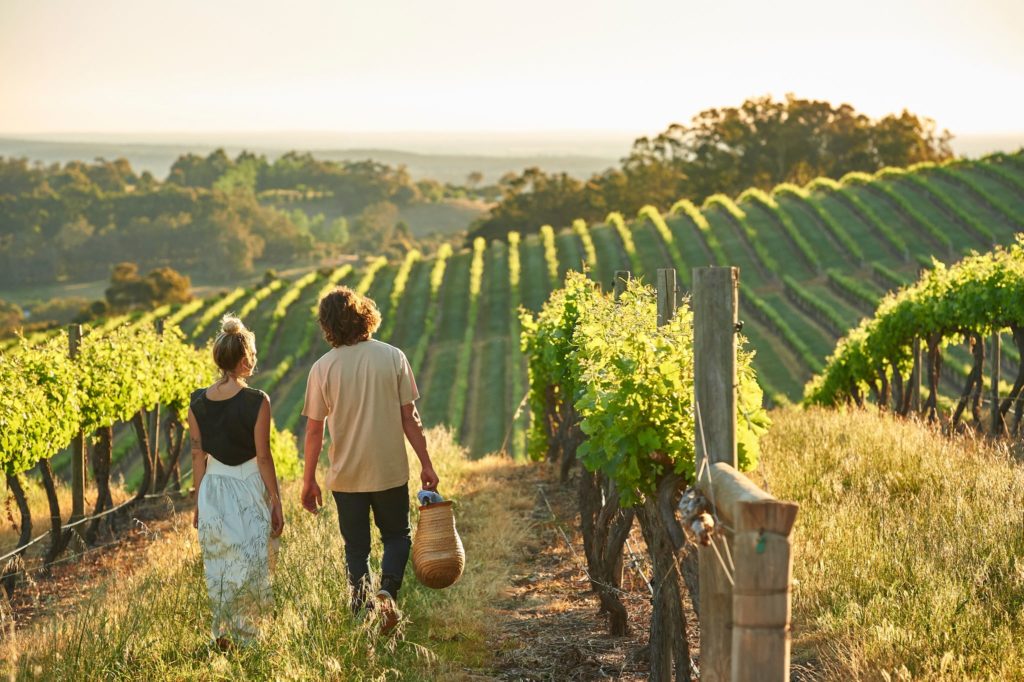 An image of a couple holding a picnic basket walking through green vineyard in Ferguson Valley shows wine experiences had along The South West Edge road trip
