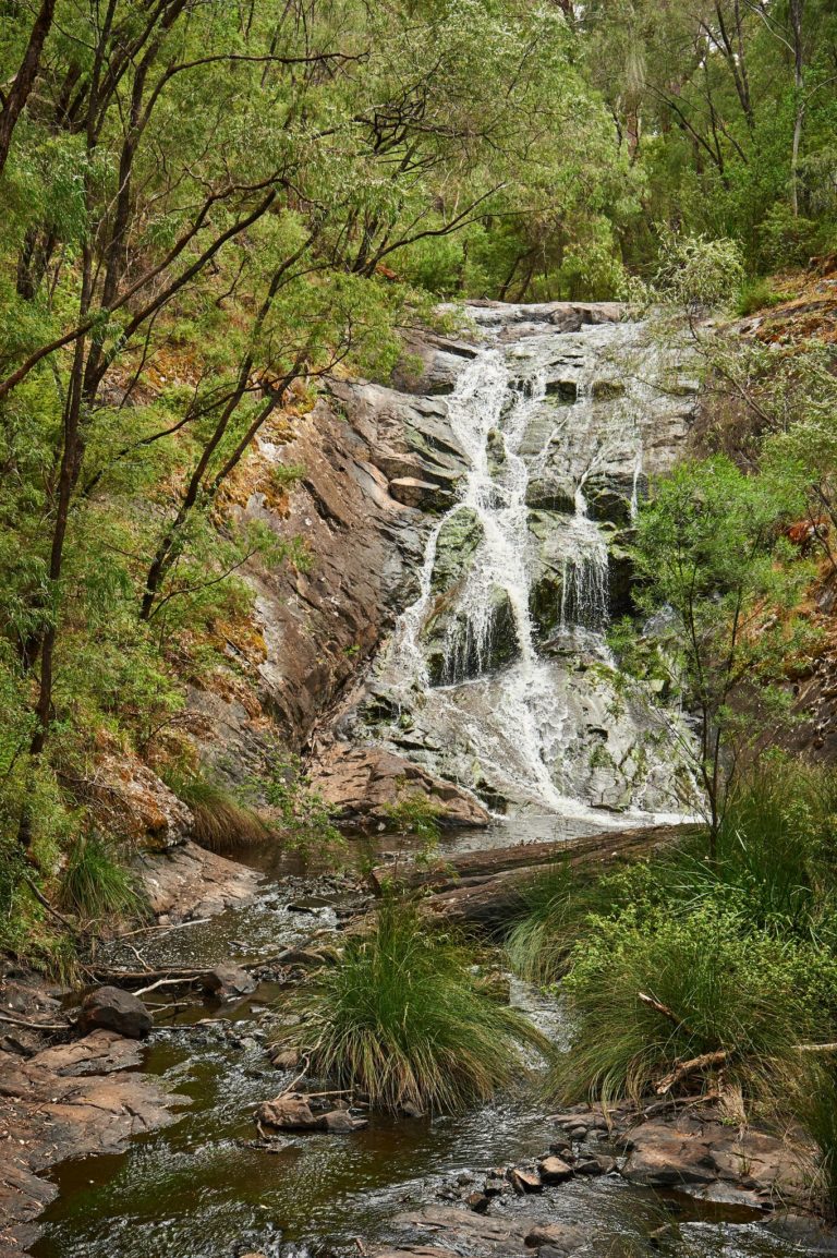 An image of a waterfall surrounded by green forest to show nature experiences on The South West Edge road trip in winter