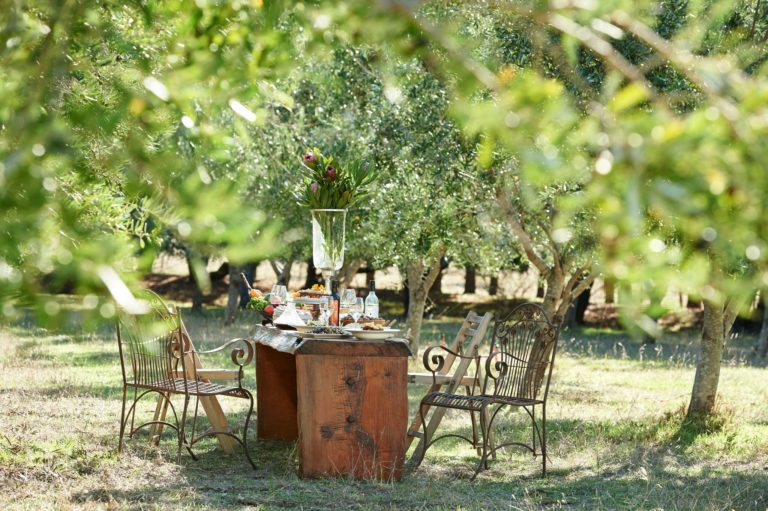 A photo of rustic metal chairs and wooden table set with plates of food and crystal glassware surrounded by olive trees shows the unique natural and gourmet experiences to be had on The South West Edge road trip