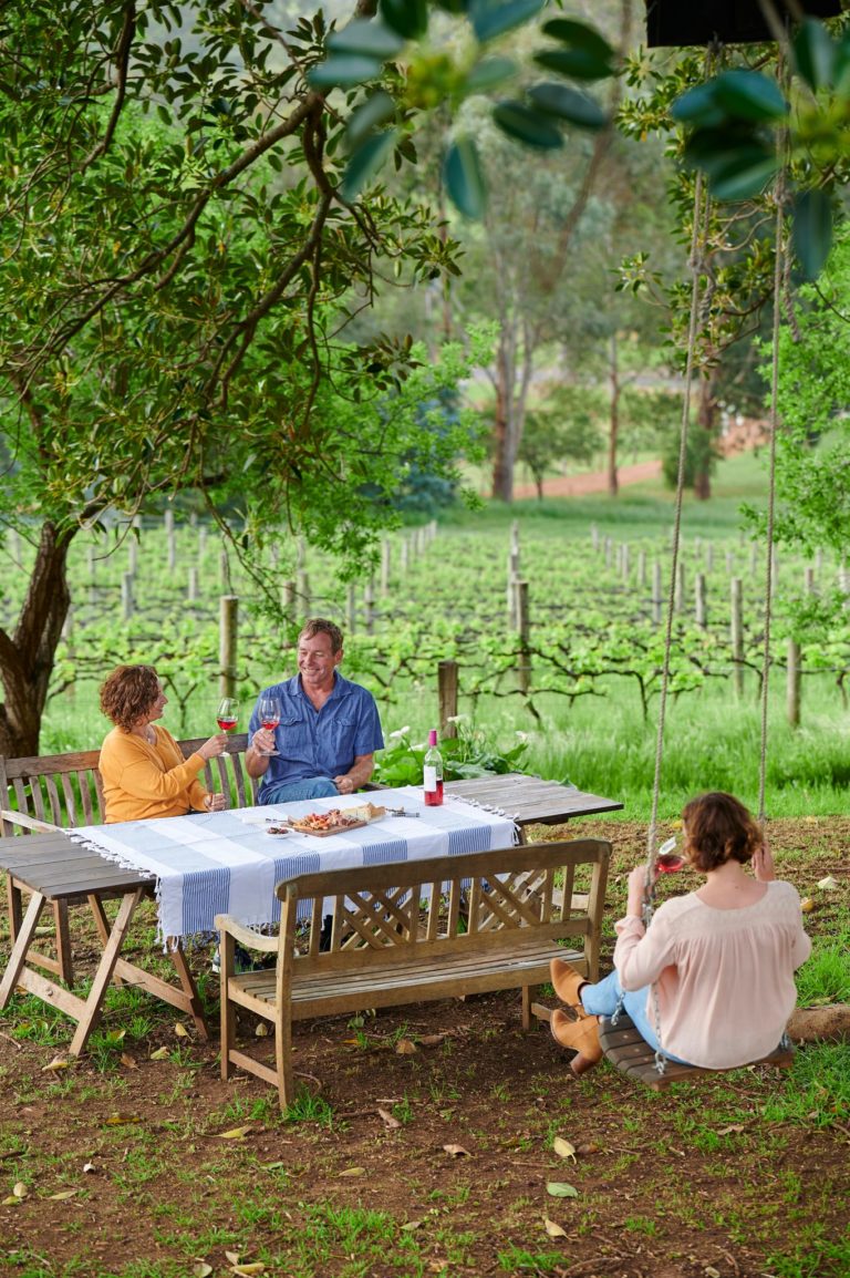 Two people on a picnic table and one person on a swing all enjoying a glass of wine. All sitting under a green tree with a green vineyard in the background.