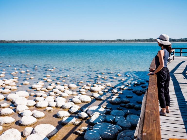 a girl stands on a jetty looking out over the thrombolites at Lake Clifton near Mandurah