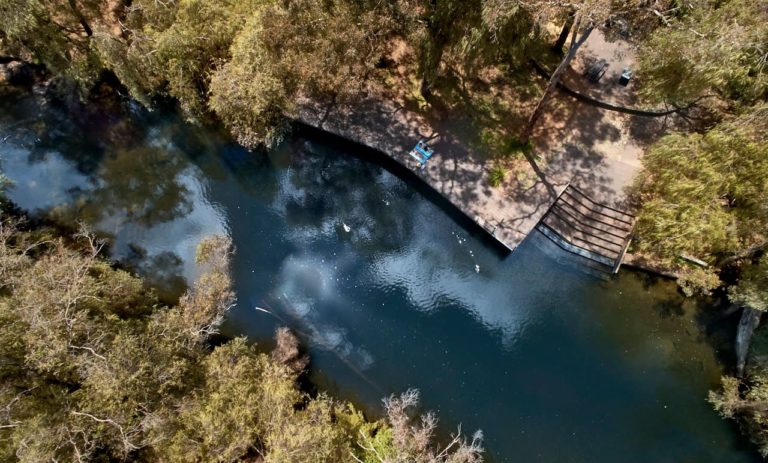 A top down aerial image of a river with a wooden platform, surrounded by green trees.