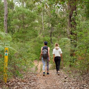 A landscape image of two people walking on a track surrounded by green bush shows outdoor adventure activities and nature on The South West Edge road trip