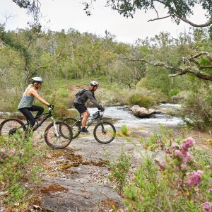 An image of a couple riding mountain bikes in a forest with river beside them shows outdoor adventure experiences immersed in nature while on The South West Edge road trip