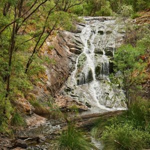 An image of a waterfall surrounded by green forest to show nature experiences on The South West Edge road trip in winter