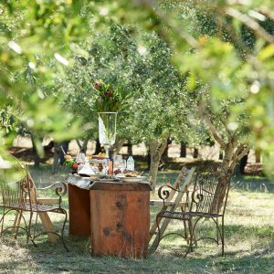 A photo of rustic metal chairs and wooden table set with plates of food and crystal glassware surrounded by olive trees shows the unique natural and gourmet experiences to be had on The South West Edge road trip