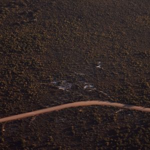 A drone image of a long continuous road with a campervan travelling along surrounded by vast bushland to show the rugged landscape found along this south western australia road trip