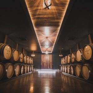 Image shows the inside of a winery shed with wine barrels lining the walls