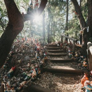 A forest floor and walk trail lined with garden gnomes shows a quirky arts and culture experience in nature found while driving the perth to esperance road trip The Edge
