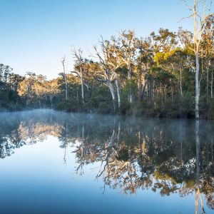 Landscape image of the Margaret River at sunrise with misty morning reflection of trees to show beauty of natural landscapes on The South West Edge
