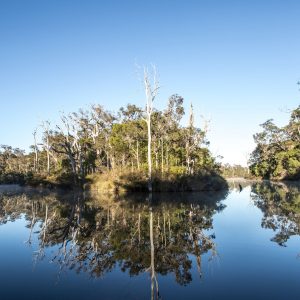 Landscape image of the Margaret River reflection of trees to show beauty of natural landscapes on The South West Edge