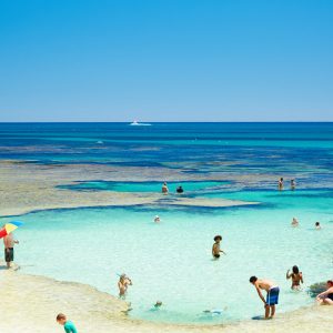 An image of people swimming in pristine crystal clear blue ocean surrounded by reef to show incredible landscapes on The South West Edge road trip