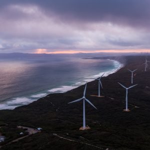 drone image of Albany wind farm next to ocean to show sights on The South West Edge road trip