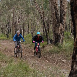 Landscape image of two ladies riding mountain bikes to show stories along the edge and adventure in nannup